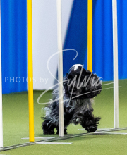 2025-June-Trial-1288