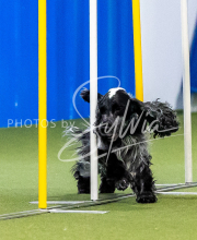 2025-June-Trial-1291