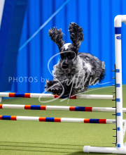 2025-June-Trial-1293