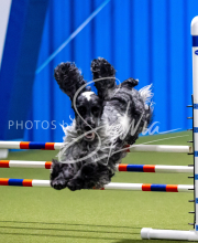 2025-June-Trial-1294