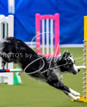 2025-June-Trial-1295