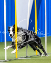 2025-June-Trial-1296