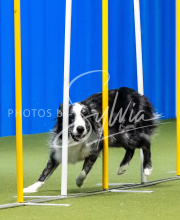 2025-June-Trial-1299