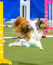 2025-June-Trial-1304