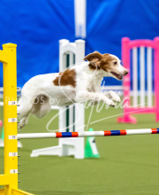 2025-June-Trial-1305