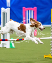 2025-June-Trial-1307