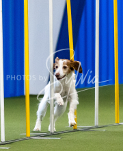 2025-June-Trial-1312