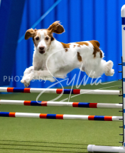 2025-June-Trial-1315