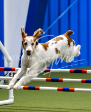 2025-June-Trial-1316