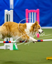 2025-June-Trial-1317