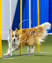 2025-June-Trial-1318