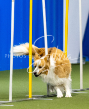 2025-June-Trial-1322