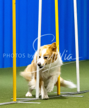 2025-June-Trial-1324