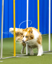 2025-June-Trial-1325