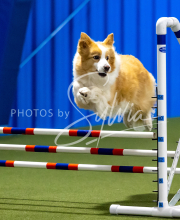 2025-June-Trial-1326