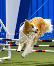 2025-June-Trial-1328