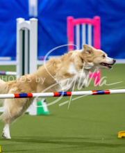 2025-June-Trial-1329