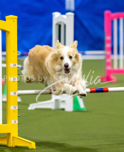 2025-June-Trial-1331