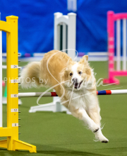 2025-June-Trial-1332