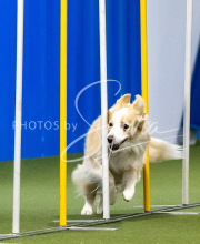 2025-June-Trial-1338