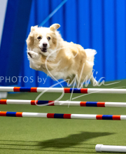 2025-June-Trial-1340