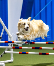 2025-June-Trial-1341