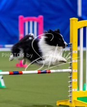 2025-June-Trial-1343