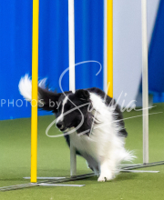 2025-June-Trial-1349