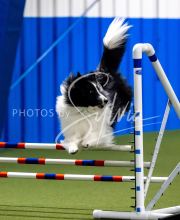 2025-June-Trial-1350