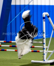 2025-June-Trial-1351