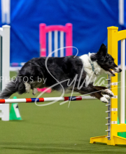 2025-June-Trial-1352