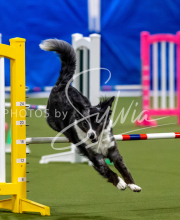 2025-June-Trial-1353