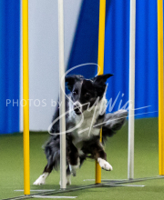 2025-June-Trial-1357