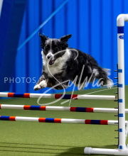 2025-June-Trial-1362