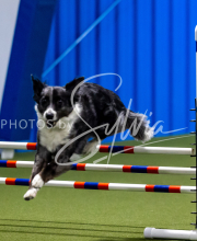 2025-June-Trial-1363