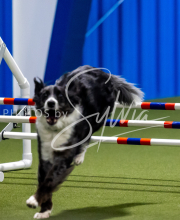 2025-June-Trial-1364