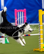 2025-June-Trial-1365