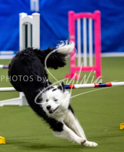 2025-June-Trial-1366