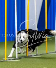 2025-June-Trial-1372