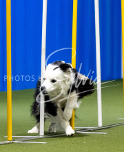 2025-June-Trial-1376