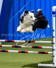 2025-June-Trial-1378