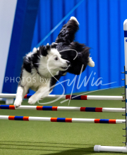 2025-June-Trial-1379