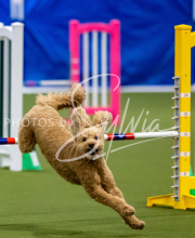 2025-June-Trial-1382