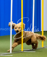 2025-June-Trial-1387