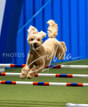 2025-June-Trial-1389