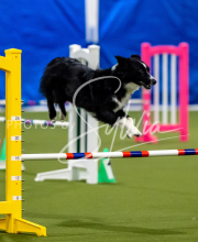 2025-June-Trial-1390