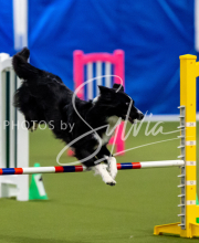 2025-June-Trial-1391