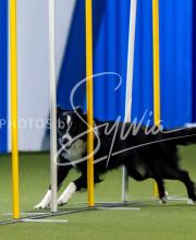 2025-June-Trial-1392