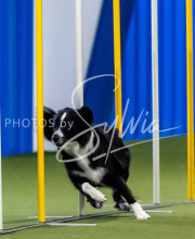 2025-June-Trial-1393