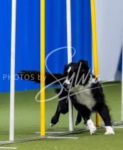 2025-June-Trial-1395